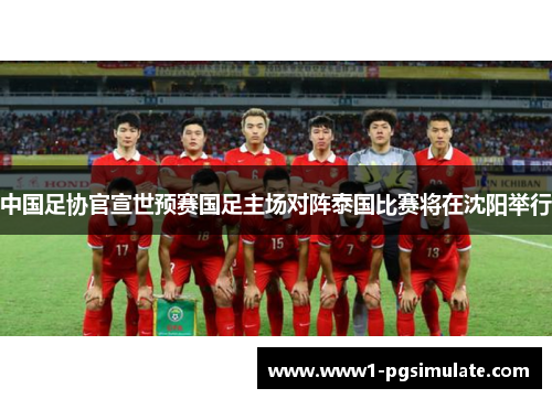 中国足协官宣世预赛国足主场对阵泰国比赛将在沈阳举行 中国足协官宣世预赛国足主场对阵泰国比赛将在沈阳举行