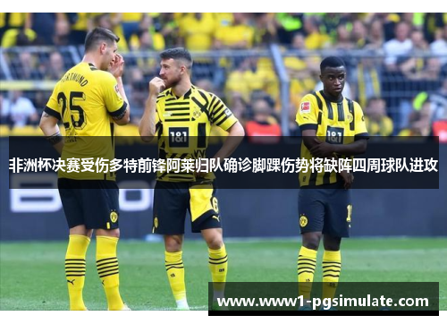 非洲杯决赛受伤多特前锋阿莱归队确诊脚踝伤势将缺阵四周球队进攻